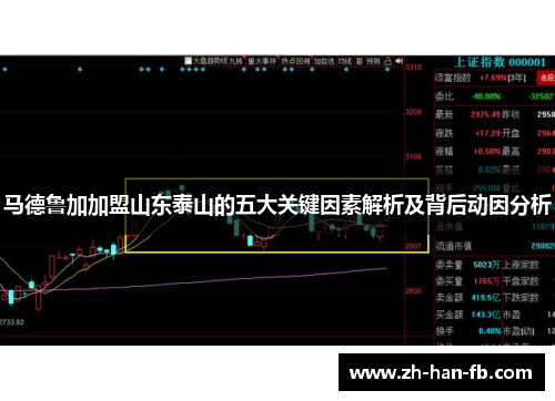 马德鲁加加盟山东泰山的五大关键因素解析及背后动因分析