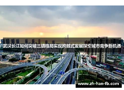 武汉长江如何突破三镇格局实现跨越式发展探索城市竞争新机遇