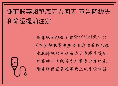 谢菲联英超垫底无力回天 宣告降级失利命运提前注定